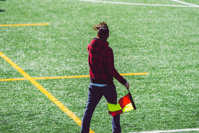 在花游的训 在花游的训