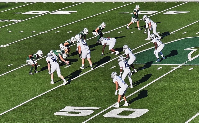 体育教育 体育教育