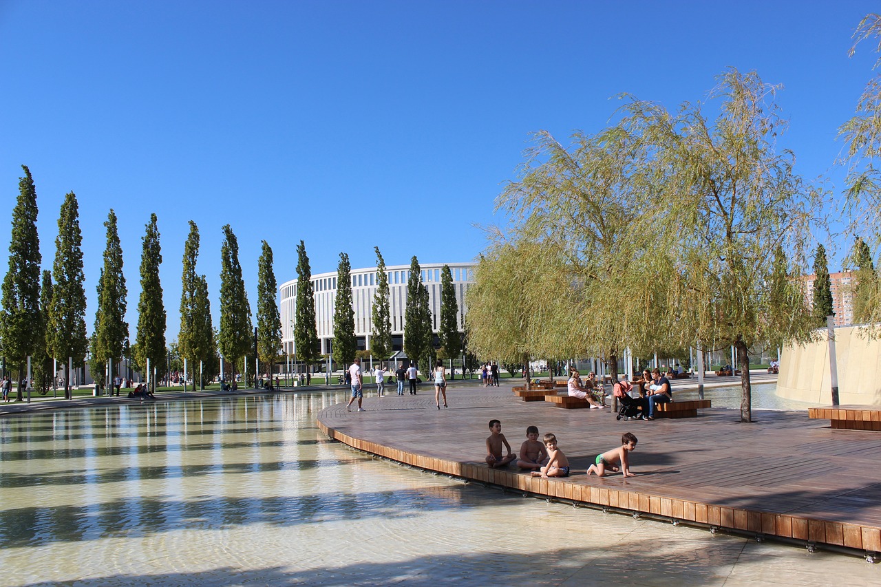 术和敏锐的 术和敏锐的