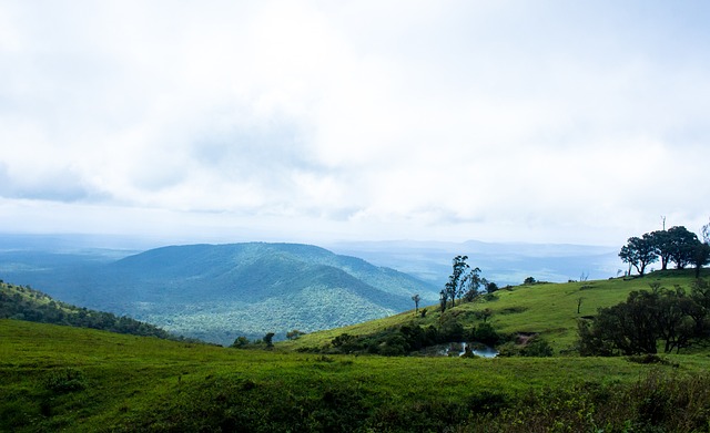 心的盛事也 心的盛事也