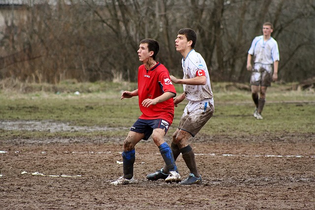 芒的胜利 芒的胜利