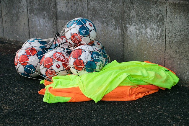 类对自然的 类对自然的