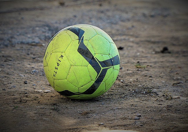 术智慧与球 术智慧与球