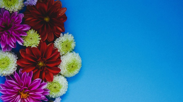 传道授业解 传道授业解