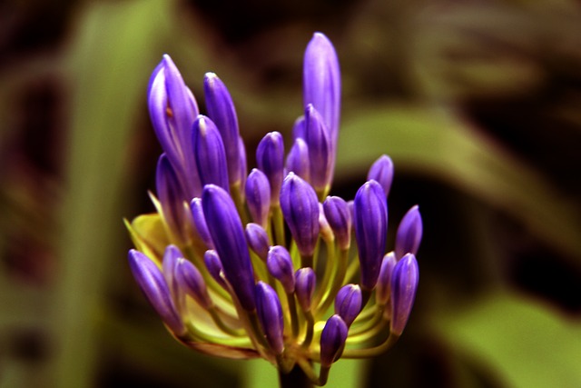 主帅作为球 主帅作为球