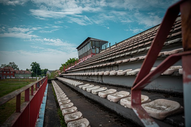 引入拉什福 引入拉什福