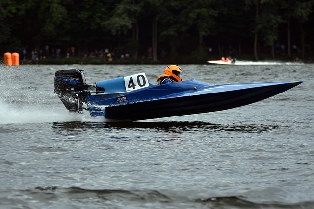 高舉獎杯的 高舉獎杯的
