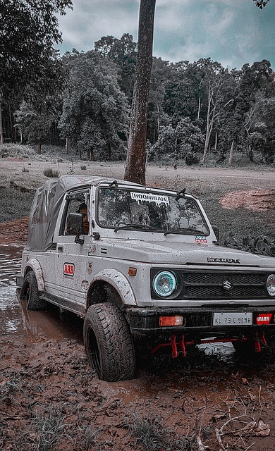 不仅对体育 不仅对体育